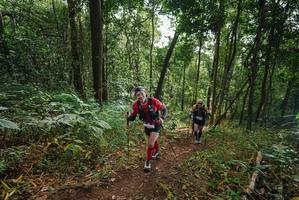 BIB: 
                            <button type="button" onclick="openModal(22464673)" class="btn btn-primary btn-sm float-right btn-popup" data-toggle="modal" data-target=".modal-high-quality">
                        <i class="fas fa-shopping-cart"></i> Add to Cart
                    </button>
                                            <button type="button" onclick="isThisMe(22464673, true)" class="btn btn-success btn-sm float-right btn-popup btn-isme hidden" data-toggle="tooltip" data-placement="bottom" title="นี่คือรูปของคุณใช่ไหม คลิกที่นี่เพื่อเอาเข้าอัลบั้ม">
                        <i class="fas fa-plus"></i> Add to album
                    </button>
                    <button type="button" onclick="isThisMe(22464673, false)" class="btn btn-warning btn-sm float-right btn-popup btn-isnotme hidden">
                        <i class="fas fa-ban"></i> Remove from album
                    </button>